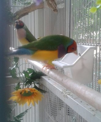 20140822_123920-1.jpg