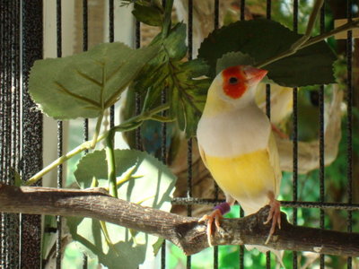 DSC05649.JPG