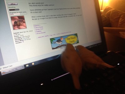 image.jpg