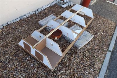 DSCF9628 (Small).JPG