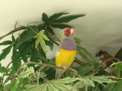 DSC05652.JPG