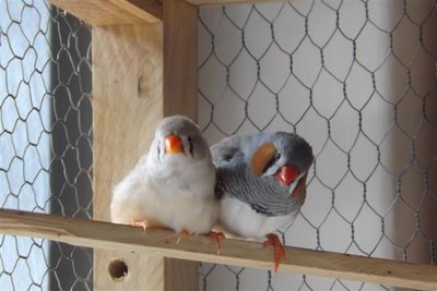 DSCF9759 (Small).JPG