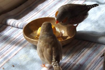 DSCF9762 (Small).JPG