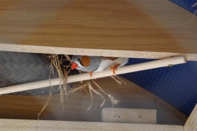 DSCF9781 (Small).JPG