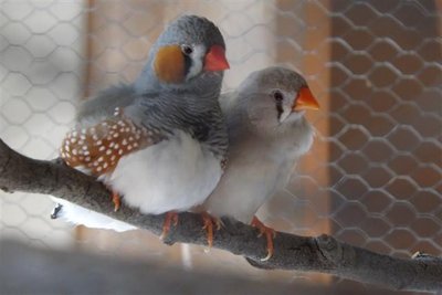 DSCF9833 (Small).JPG