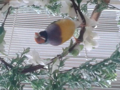 20140828_141045.jpg