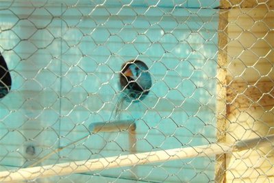 DSCF9955 (Small).JPG