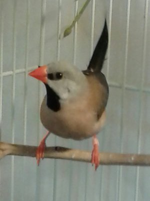 20140826_100401-1.jpg