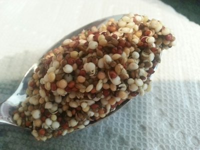 BT quinoa proso soak.jpg