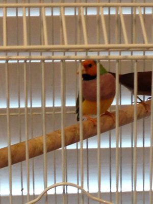 IMG_3199.JPG