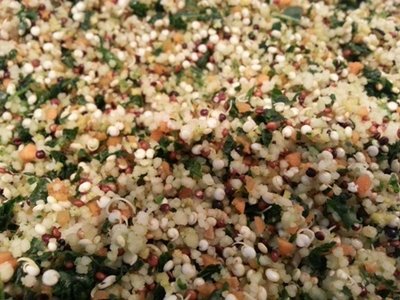 chitted quinoa, dried eggfood, couscous, chopped kale and carrots.jpg