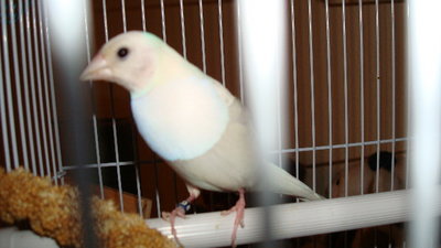 DSC00272.JPG