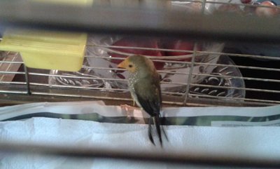 20140911_160915.jpg
