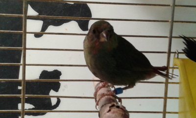 20140911_175532.jpg