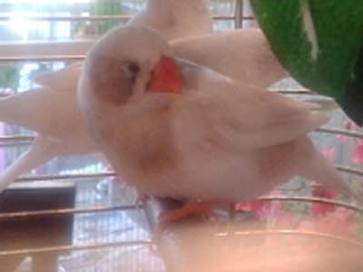 20140915_160718.jpg