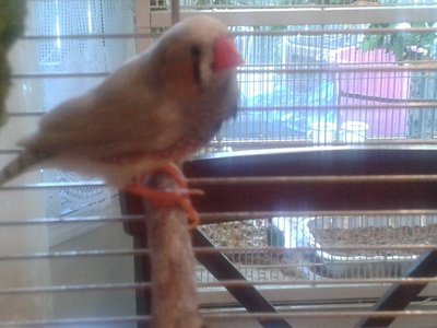 20140915_155754.jpg