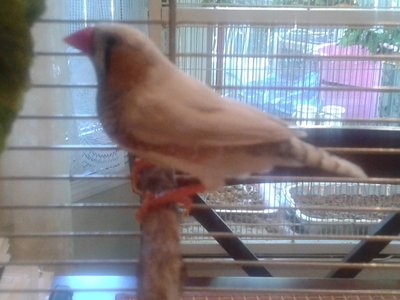 20140915_155939.jpg