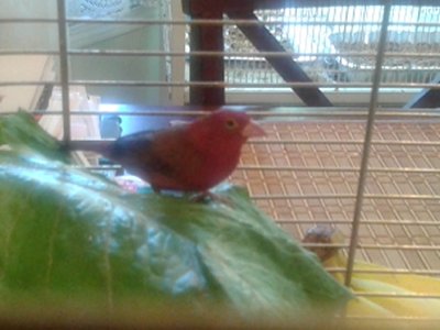 20140915_161633.jpg