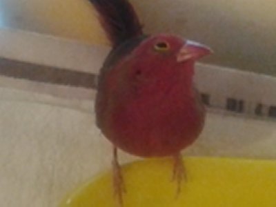 20140915_160653.jpg