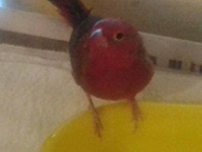 20140915_160632.jpg