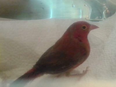 20140915_155607.jpg