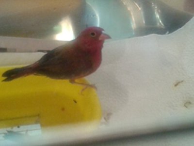 20140915_161747.jpg