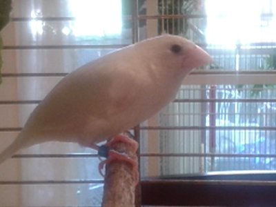 20140915_161032.jpg