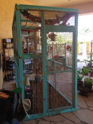 Aviary 1.JPG