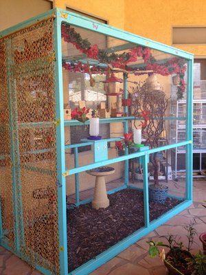 Aviary 2.JPG
