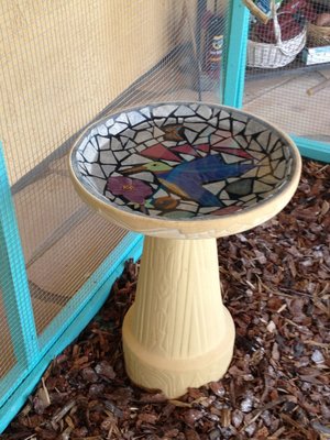 Aviary 4.JPG
