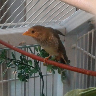 20140918_174403-1.jpg