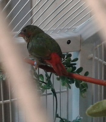 20140918_172646-1.jpg