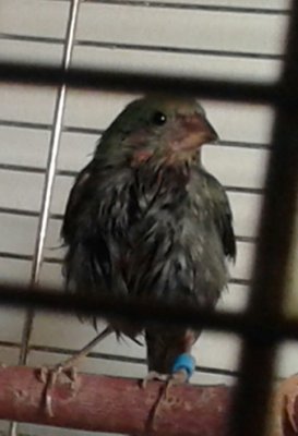 20140911_170408-1.jpg