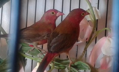 20140921_121501.jpg