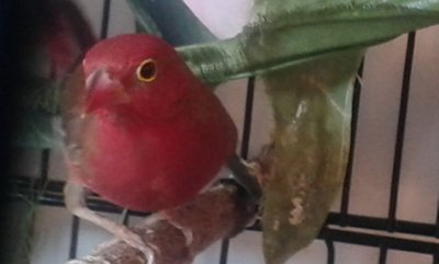 20140921_121119.jpg