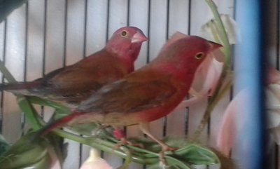 20140921_121455.jpg