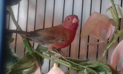 20140921_121411.jpg