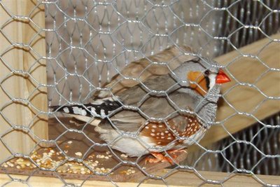 DSCF0301 (Small).JPG