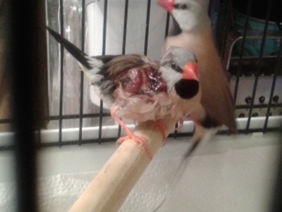 20140926_110642.jpg