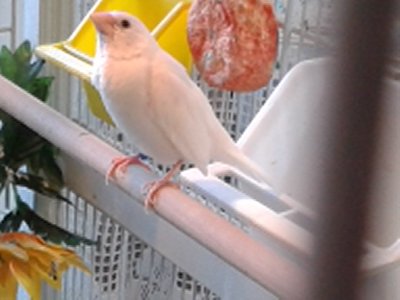 20140926_182250.jpg