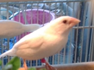 20140926_182713.jpg