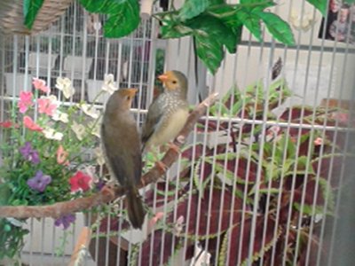 20140923_104319.jpg