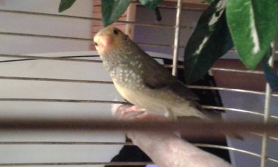 20140911_174911.jpg