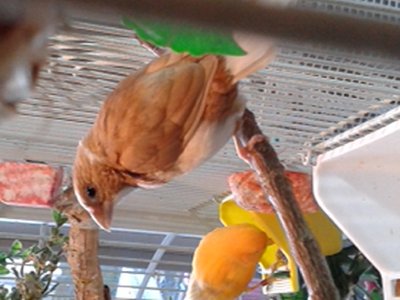 20140926_183201.jpg