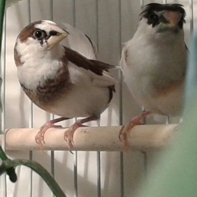 20140607_131327-1.jpg