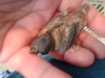 20140929_100202.jpg