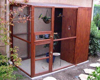 A picture of my aviary when it was first done being built before adding all the perches, nests, and birds.