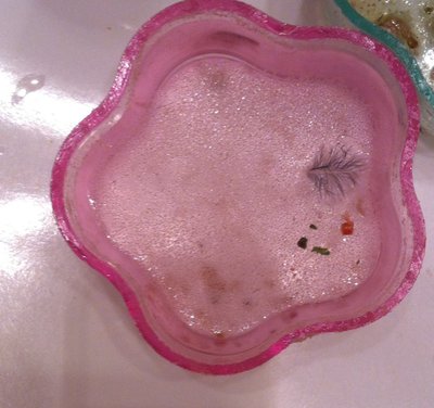 water dish.JPG