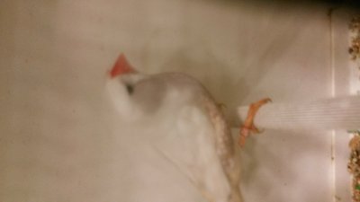 20141004_114518.jpg