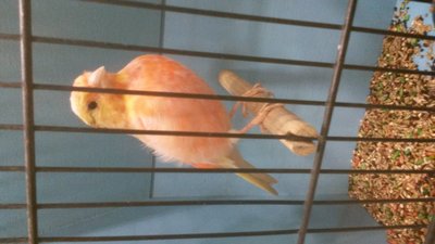 20141004_114444.jpg